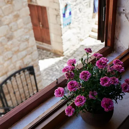 住宿加早餐酒店 Tomy - Katy 特罗吉尔